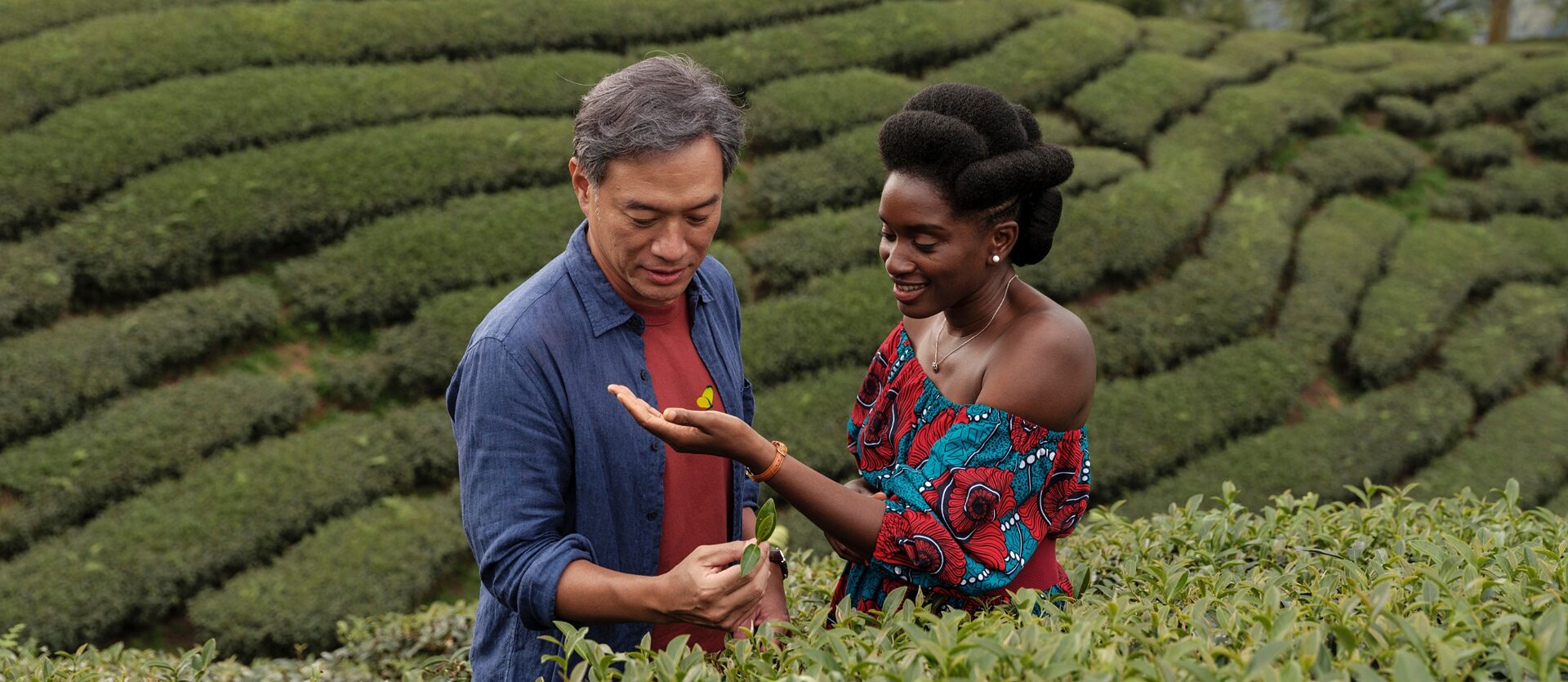 عبد الرحمن سيساكو