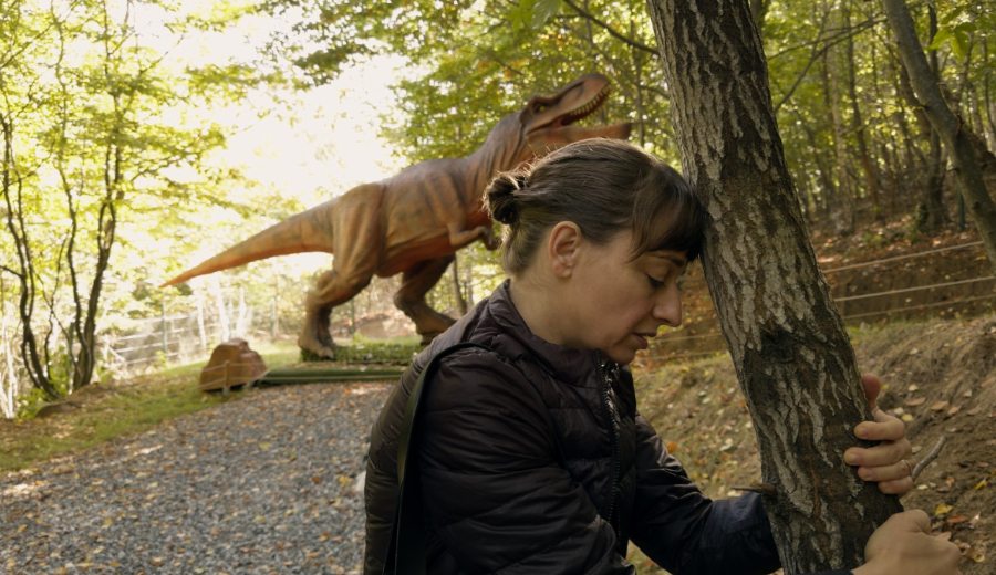 «كونتيننتال ٢٥».. حين يصبح التاريخ أطلالًا لحاضر هشّ