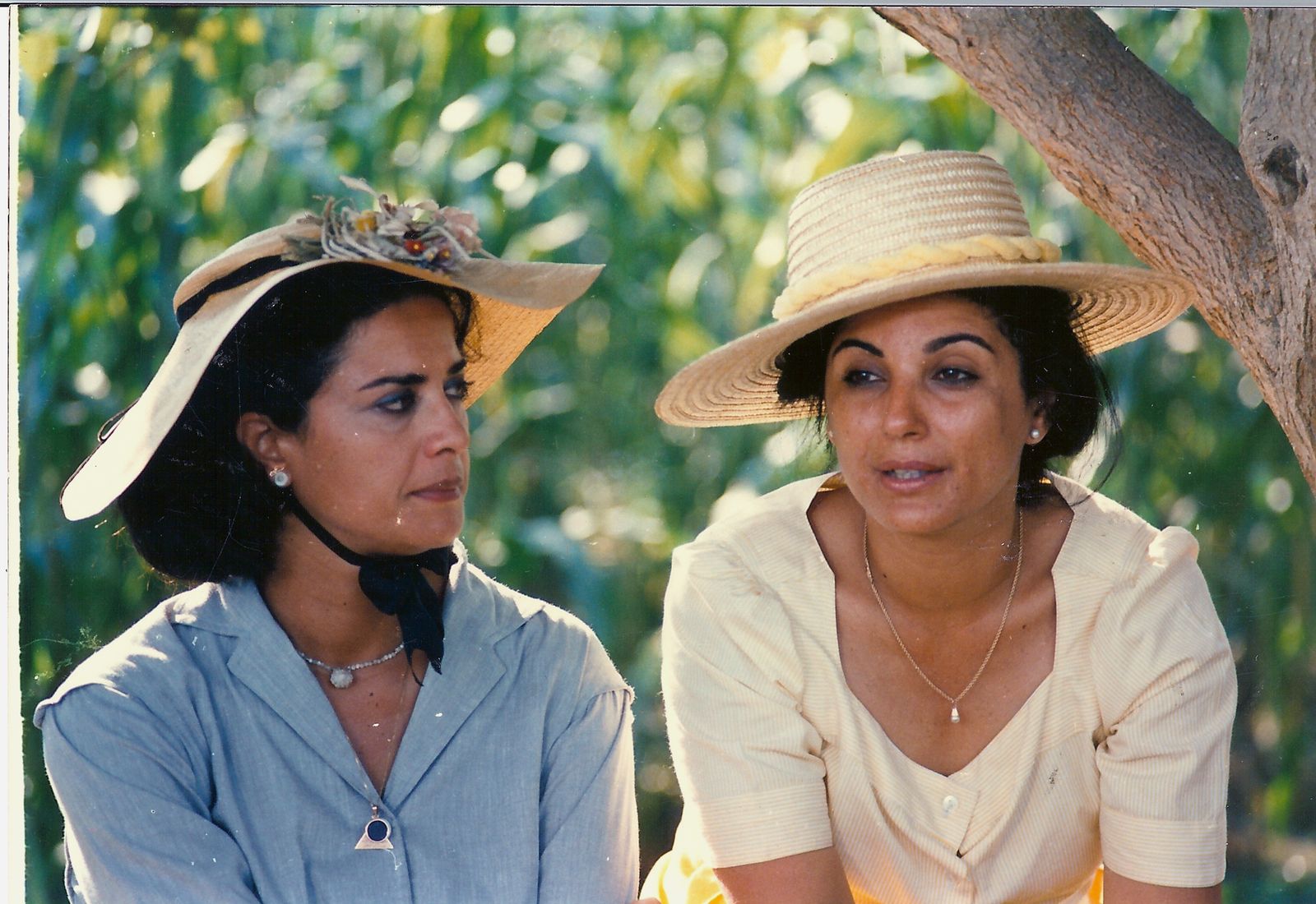 فيلم سرقات صيفية (1988)