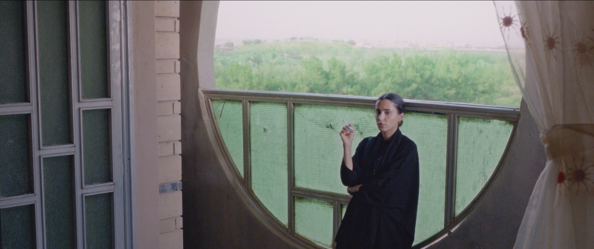 فيلم ناقة (2023)