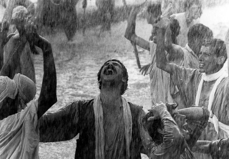 محمد الأخضر حمينة... نهاية تليق بشاعر الصورة 