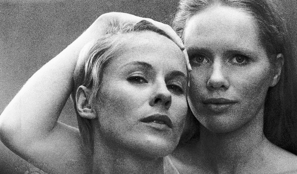 صمت يلف نفوسًا صاخبة.. عن الوقوع في حب بيرغمان