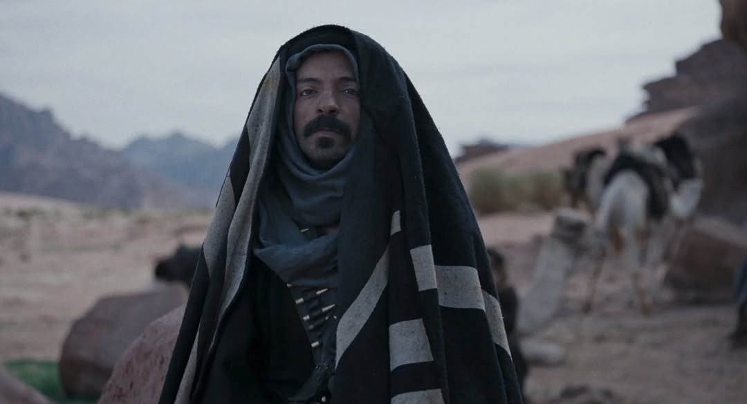 في عامه الأول.. كيف كان أداء صندوق «بيغ تايم»؟